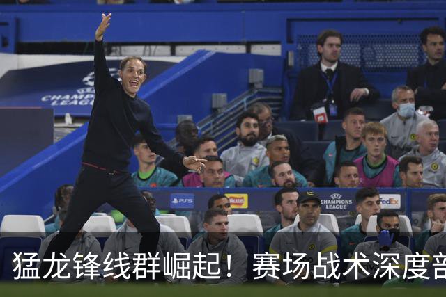 猛龙锋线群崛起！赛场战术深度剖析与特点展现